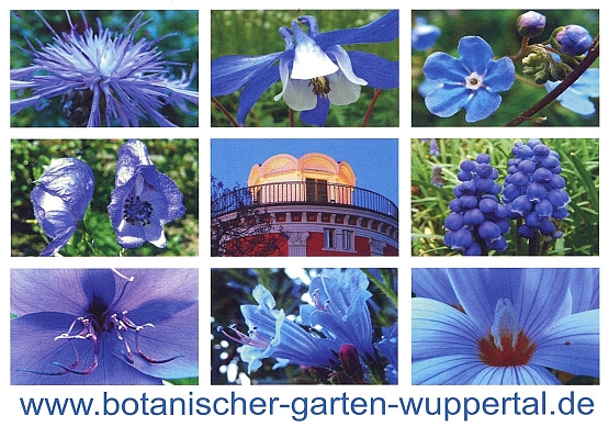 Aktuell Botanischer Garten Wuppertal