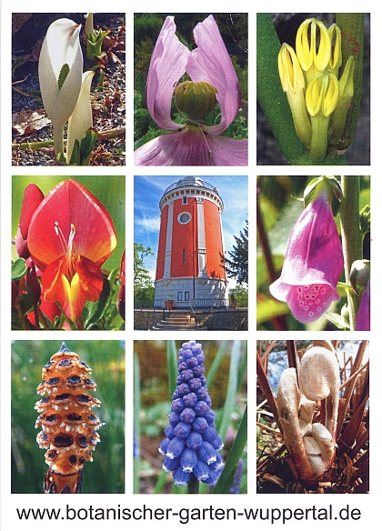 Aktuell Botanischer Garten Wuppertal