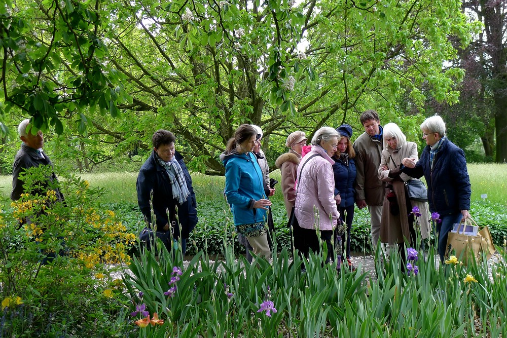 c-Bot. Garten Wuppertal 2016-05-15_008