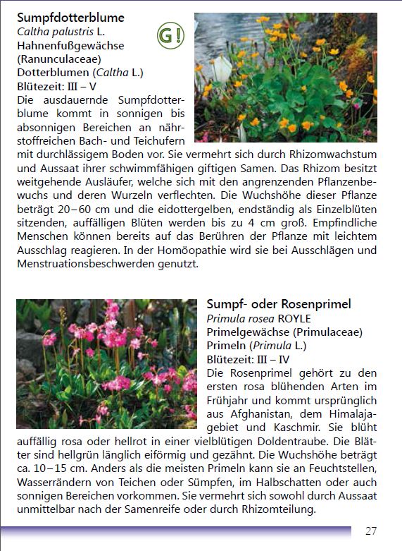 Die Teichvegetation Seite 27