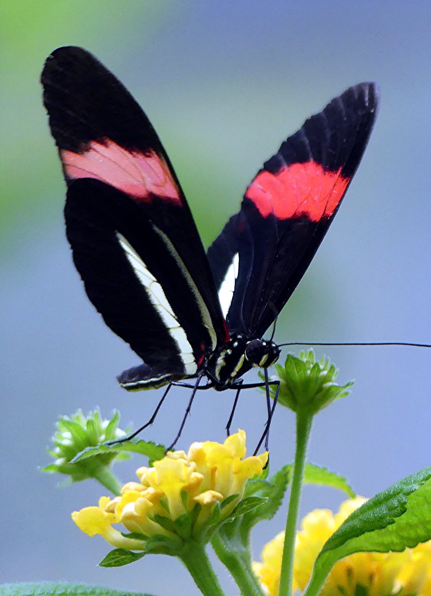 Vorträge Botanischer Garten Wuppertal