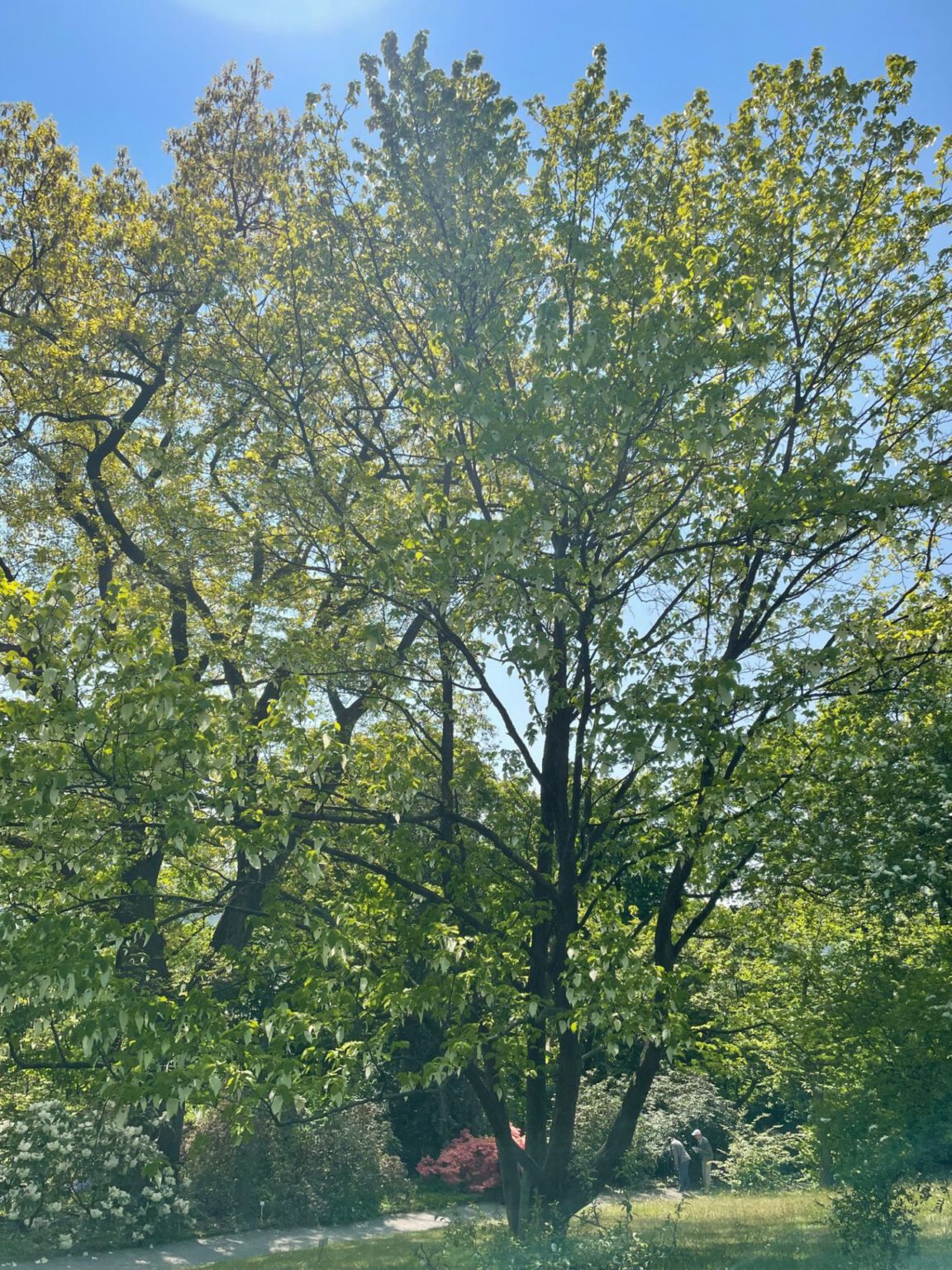 Aktuell Botanischer Garten Wuppertal