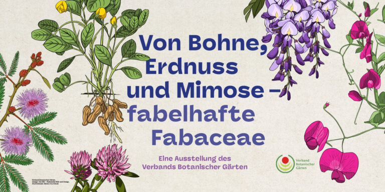 Aktuell Botanischer Garten Wuppertal